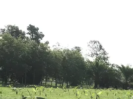  Grundstück zu verkaufen in Nam Yuen, Ubon Ratchathani, Dom Pradit, Nam Yuen