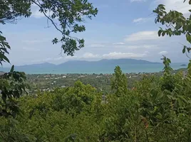  Grundstück zu verkaufen in Koh Samui, Surat Thani, Bo Phut