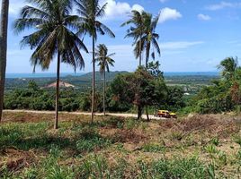  Land for sale in Na Muang Waterfalls, Na Mueang, Na Mueang