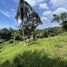  Land for sale in Maenam, Koh Samui, Maenam