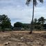  Land for sale in Phuket International Airport, Mai Khao, Mai Khao