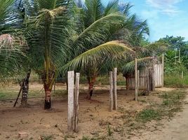 3 Schlafzimmer Haus zu verkaufen in Presidente Figueiredo, Amazonas, Presidente Figueiredo, Presidente Figueiredo, Amazonas, Brasilien