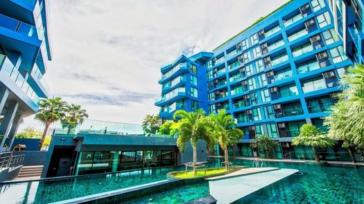 Photos 1 of the Communal Pool at Acqua Condo