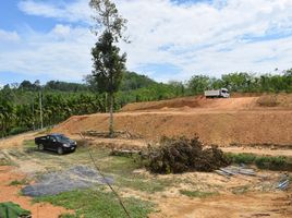  Grundstück zu verkaufen in Takua Thung, Phangnga, Tha Yu