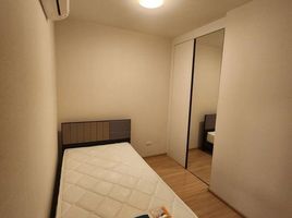2 Bedroom Condo for rent at Plum Condo Bangyai Station, Bang Rak Phatthana