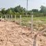  Land for sale in Hat Yai Songkhla, Khlong Hae, Hat Yai, Songkhla