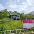  Land for sale in Tha Kham, Hat Yai, Tha Kham