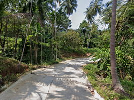  Grundstück zu verkaufen in Koh Samui, Surat Thani, Maenam, Koh Samui