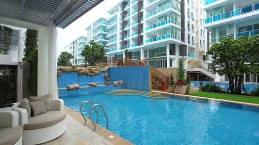 3D 워크스루 of the Communal Pool at My Resort Hua Hin