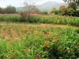  Grundstück zu verkaufen in Mueang Loei, Loei, Kok Thong, Mueang Loei