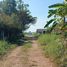  Land for sale in Nakhon Ratchasima, Muen Wai, Mueang Nakhon Ratchasima, Nakhon Ratchasima