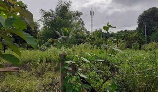 N/A Land for sale in Nam Pua, Nan 