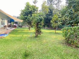  Land for sale in Saraphi, Chiang Mai, Chomphu, Saraphi