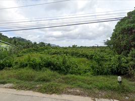  Grundstück zu verkaufen in Ko Lanta, Krabi, Ko Lanta Yai