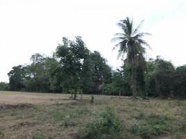  Land for sale in Sam Ngao, Sam Ngao, Sam Ngao