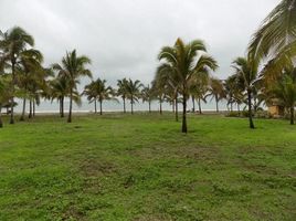  Grundstück zu verkaufen in Jama, Manabi, Jama, Jama, Manabi, Ecuador