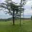 ขายที่ดิน ใน แม่น้ำ, สุราษฎร์ธานี, แม่น้ำ