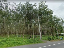  Land for sale in Thalang, Phuket, Pa Khlok, Thalang