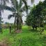  Land for sale in Mueang, Mueang Loei, Mueang