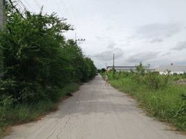  Land for sale in Khlong Yong, Phutthamonthon, Khlong Yong