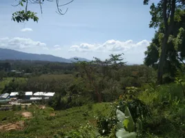  Grundstück zu verkaufen in Thalang, Phuket, Choeng Thale