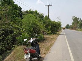  Land for sale in Hankha, Chai Nat, Den Yai, Hankha