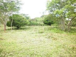  Land for sale at Brasil de Mora, Mora