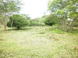  Land for sale at Brasil de Mora, Mora, San Jose