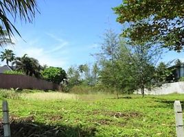  Land for sale in Phangnga, Khok Kloi, Takua Thung, Phangnga
