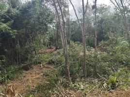  Land for sale in Chalong, Phuket Town, Chalong