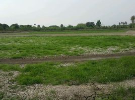  Land for sale in Bang Pla, Bang Len, Bang Pla