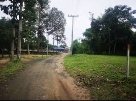  Land for sale in Nam Phrae, Hang Dong, Nam Phrae