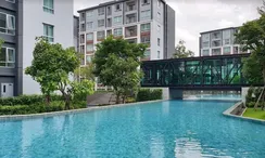 Фото 2 of the Communal Pool at D Condo Ping