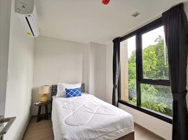 2 Bedroom Apartment for rent at THE BASE Central Phuket, Wichit