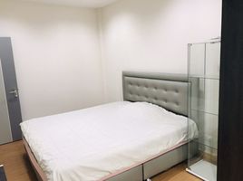 3 Schlafzimmer Reihenhaus zu verkaufen im COZY, Wang Thonglang