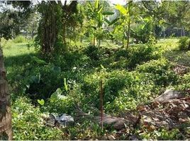 Land for sale in Chiang Mai International Airport, Suthep, Fa Ham