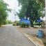 ขายที่ดิน ใน หนองเสือ ปทุมธานี, บึงบอน, หนองเสือ