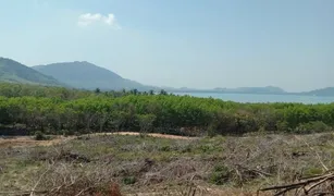 N/A Land for sale in Ko Yao Yai, Phangnga 