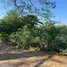  Land for sale in Bang Rak Phatthana, Nonthaburi, Bang Rak Phatthana