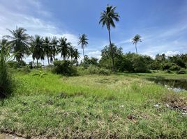  Grundstück zu verkaufen in Mueang Prachuap Khiri Khan, Prachuap Khiri Khan, Ko Lak