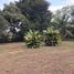  Land for sale in San Carlos, Alajuela, San Carlos