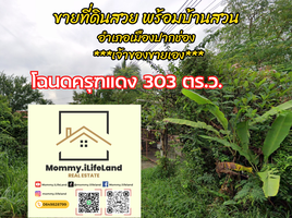  Grundstück zu verkaufen in Pak Chong, Nakhon Ratchasima, Pak Chong, Pak Chong, Nakhon Ratchasima