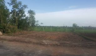 N/A Land for sale in Bueng Ba, Pathum Thani 