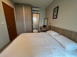 1 Schlafzimmer Wohnung zu vermieten im Sugar Palm Residence, Talat Nuea, Phuket Town, Phuket