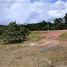  Land for sale in Manicore, Amazonas, Manicore