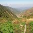  Land for sale in Tuba, Cordillera, Tuba, Benguet, Cordillera