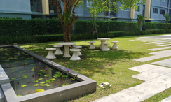 写真 2 of the Communal Garden Area at D Condo Kathu