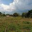  Land for sale in Chiang Mai, Yu Wa, San Pa Tong, Chiang Mai