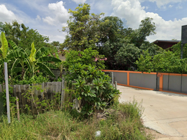  Land for sale in Mueang Kamphaeng Phet, Kamphaeng Phet, Nakhon Chum, Mueang Kamphaeng Phet