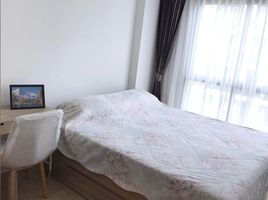 1 Schlafzimmer Appartement zu vermieten im The Excel Hideaway Sukhumvit 50, Phra Khanong